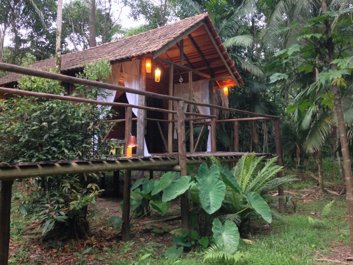 Glamping Mangarito Hotel Iporanga Exterior foto